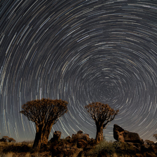 Peter Bihr: Startrails, Annahme beim fotoforum Award LANDSCHAFTEN 2023, Kategorie: Unterm Sternenhimmel