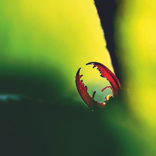 fotoforum Award 2026 | Foto: Silke Hüttche