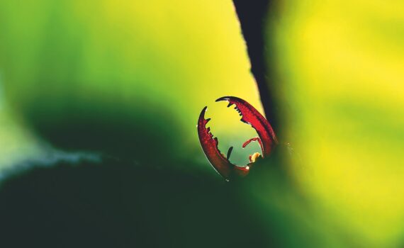 fotoforum Award 2026 | Foto: Silke Hüttche